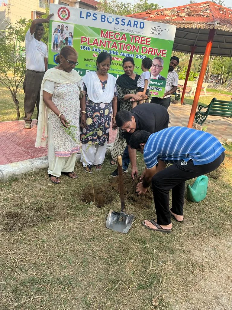 Plantation photo 2